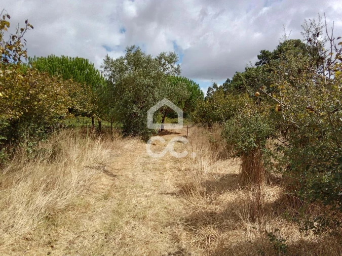 Terreno para Venda em Roliça Foto 21
