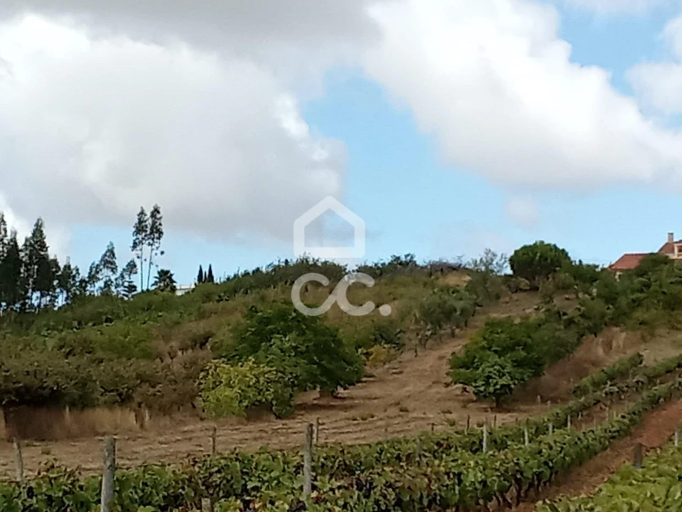 Terreno para Venda em Roliça Foto 12