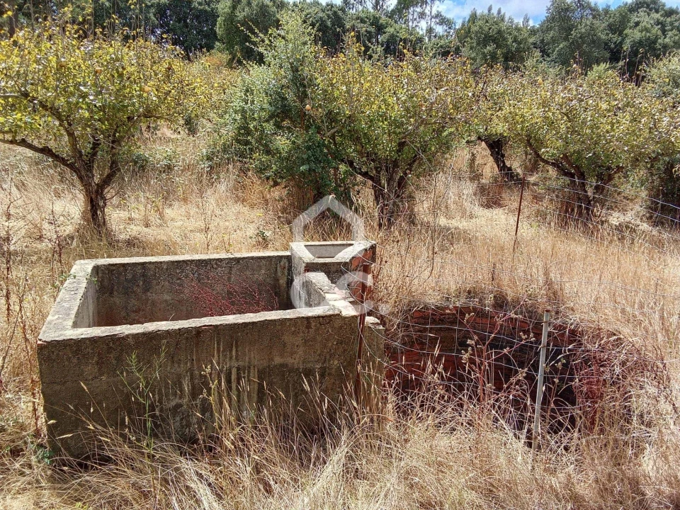 Terreno para Venda em Roliça Foto 19