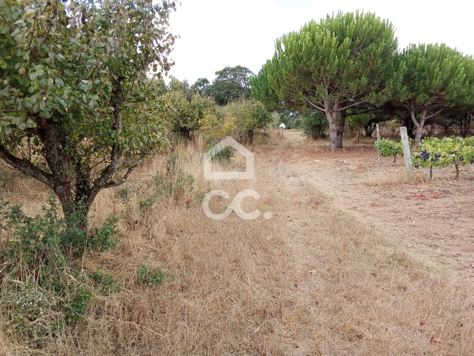 Terreno para Venda em Roliça Foto 9