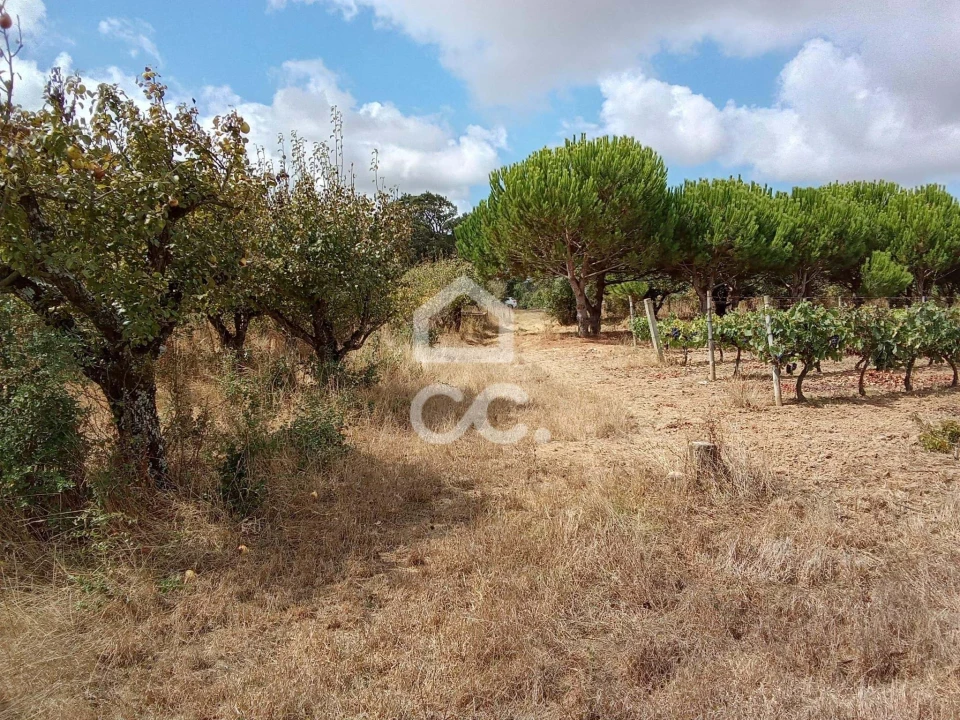 Terreno para Venda em Roliça Foto 18