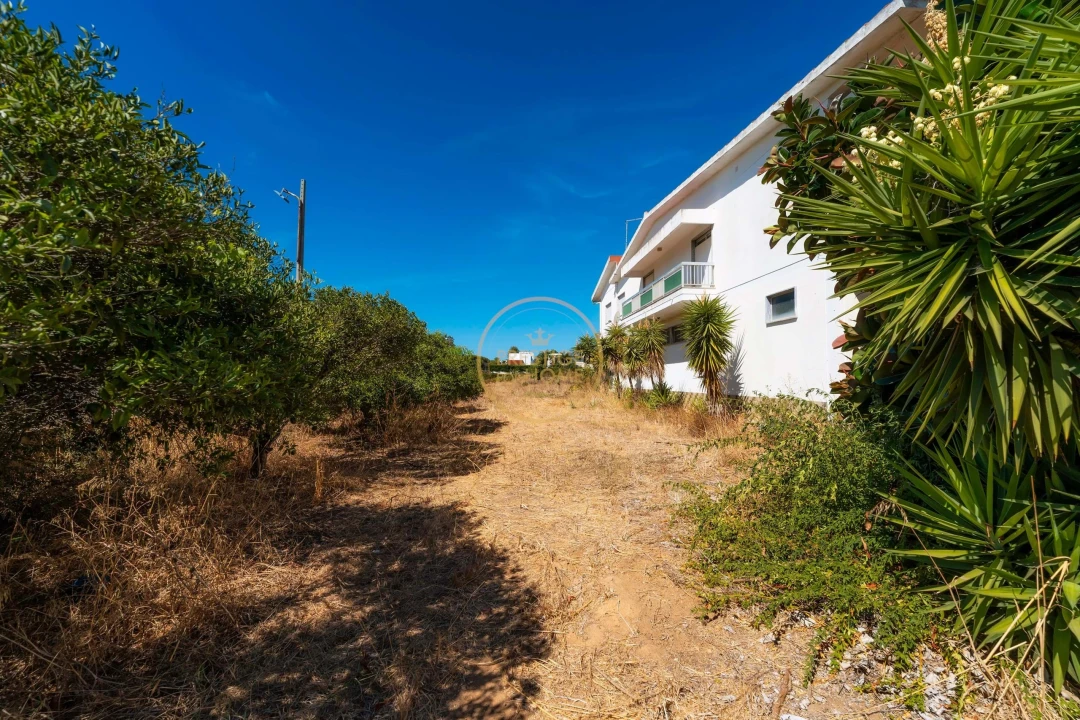 Terreno para Arrendamento em Montenegro Foto 18