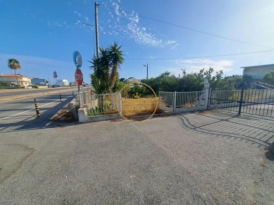 Terreno para Arrendamento em Montenegro Foto 3