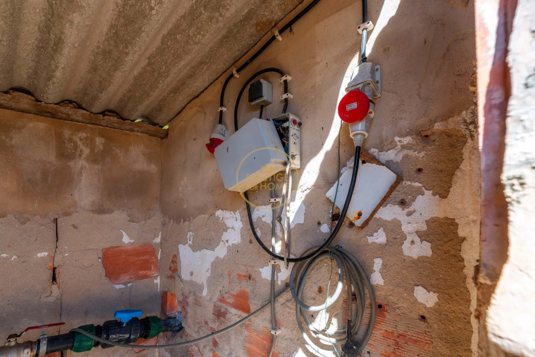 Terreno para Arrendamento em Montenegro Foto 28