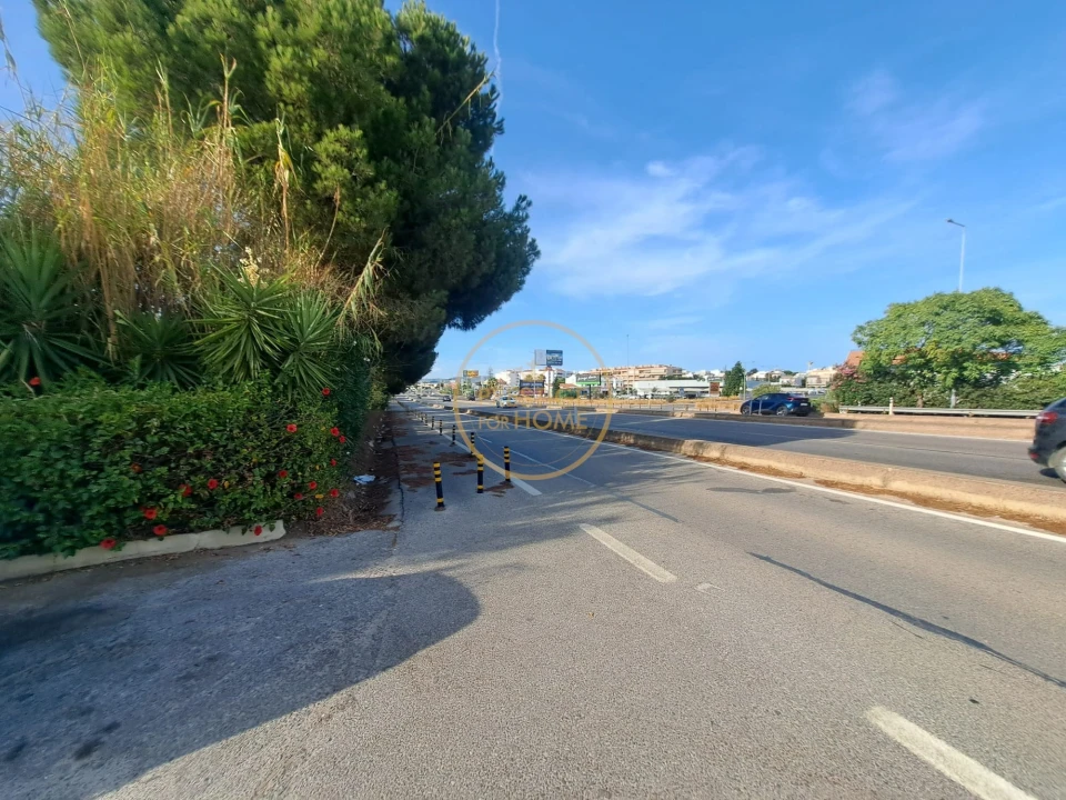 Terreno para Arrendamento em Montenegro Foto 8