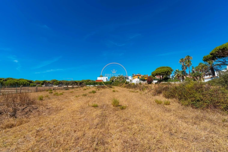 Terreno para Arrendamento em Montenegro Foto 31