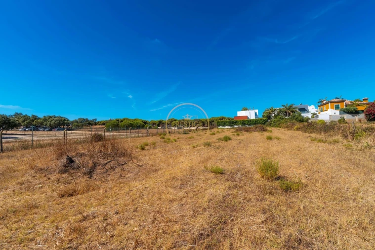 Terreno para Arrendamento em Montenegro Foto 32