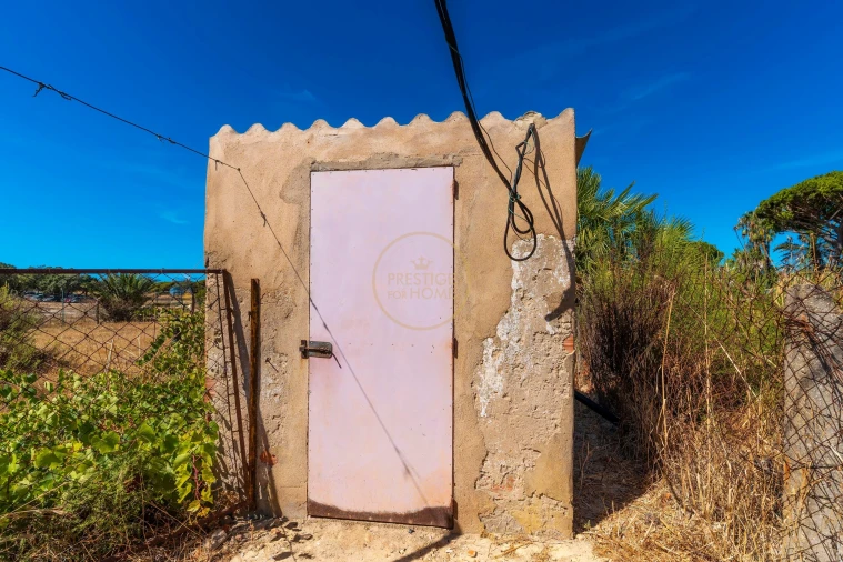 Terreno para Arrendamento em Montenegro Foto 6