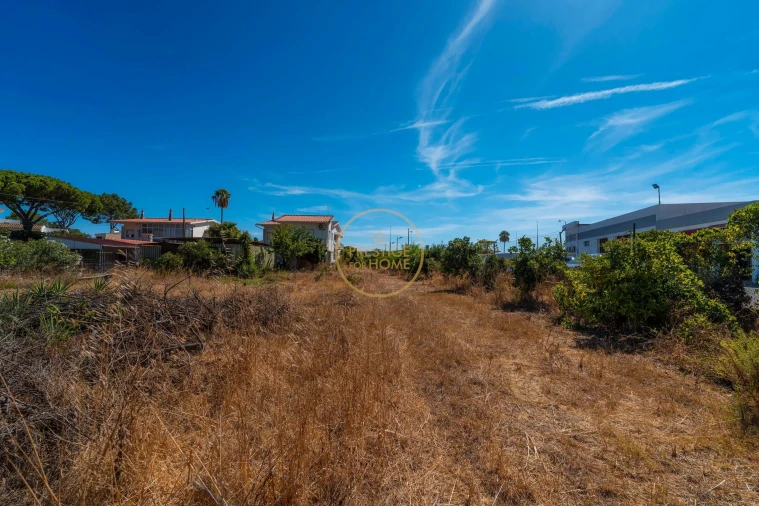 Terreno para Arrendamento em Montenegro Foto 21