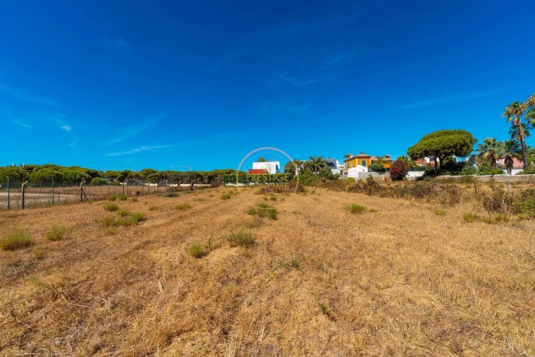 Terreno para Arrendamento em Montenegro Foto 33