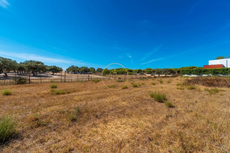 Terreno para Arrendamento em Montenegro Foto 34