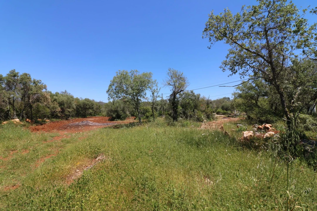 Moradia T3 para Venda em Loule (São Clemente) Foto 11