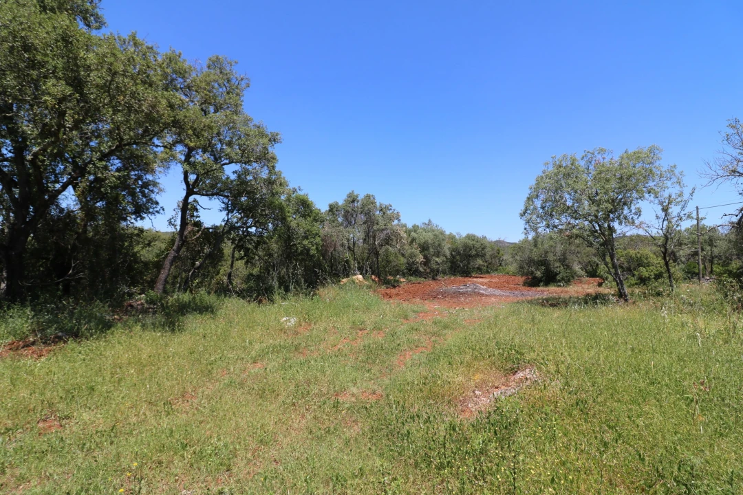 Moradia T3 para Venda em Loule (São Clemente) Foto 10