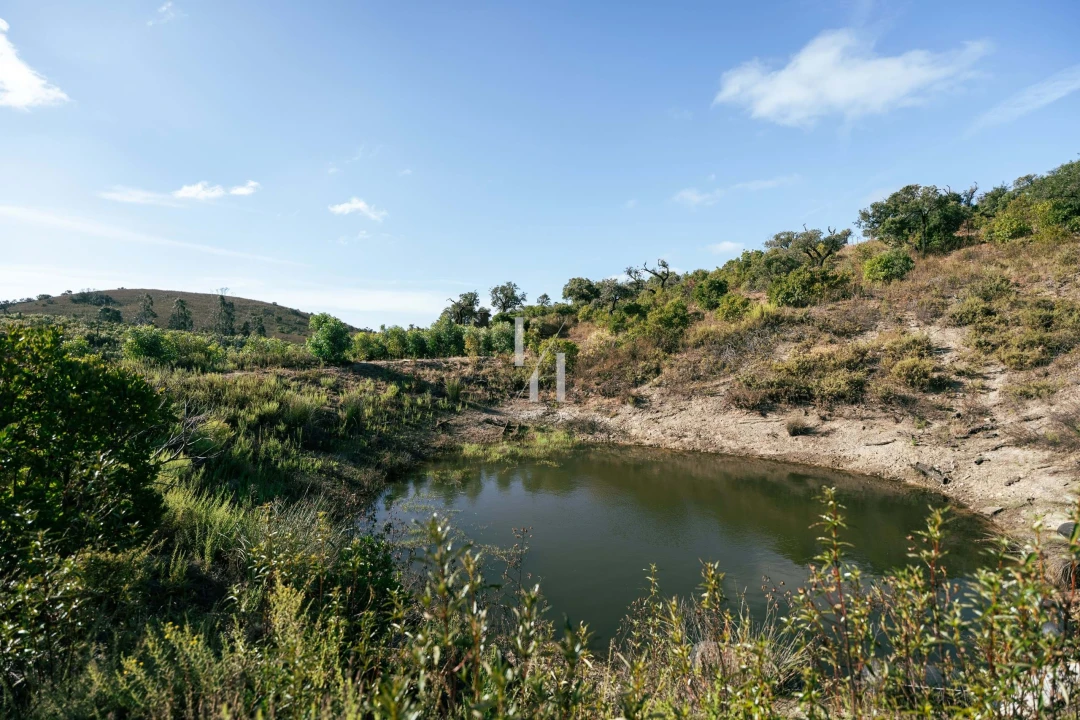 Terreno para Venda em Barão de São Miguel Foto 14