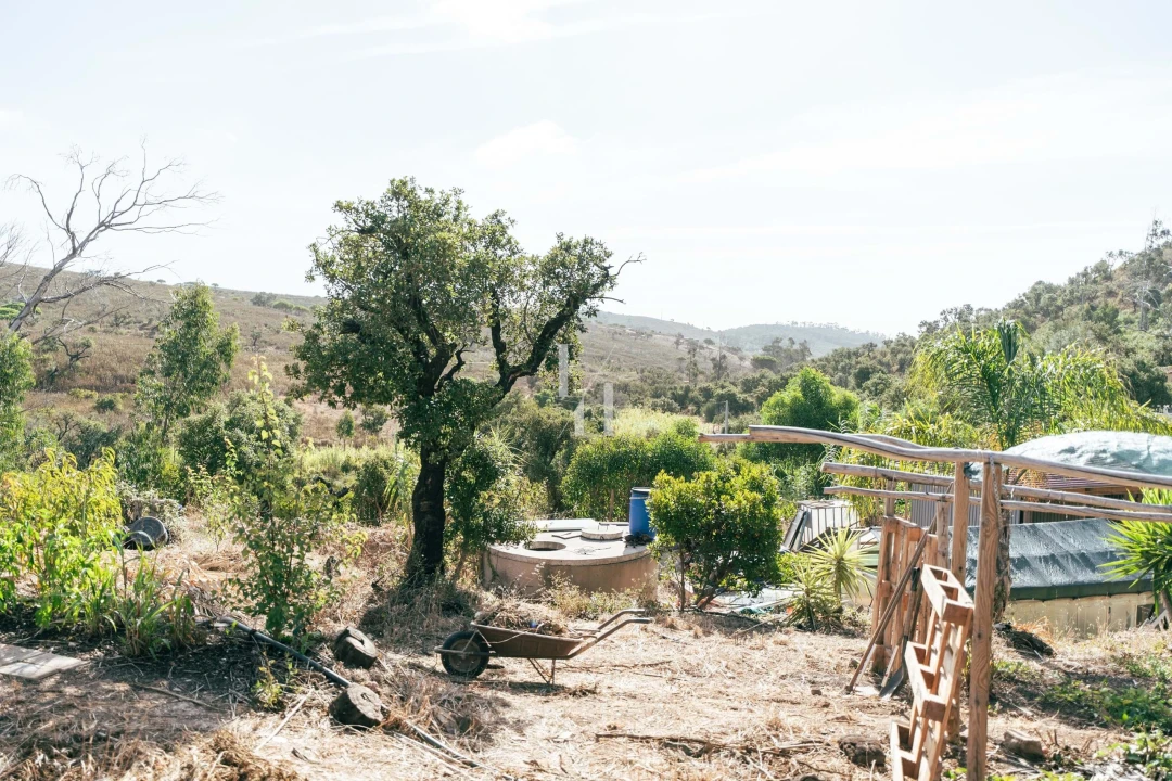 Terreno para Venda em Barão de São Miguel Foto 8