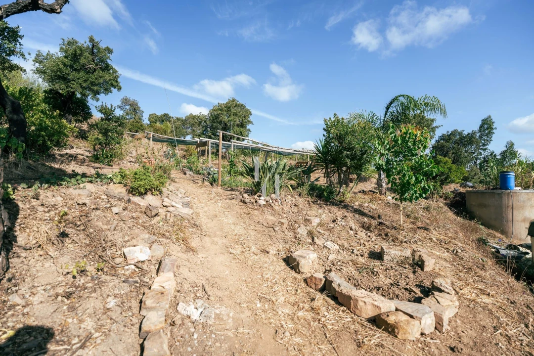 Terreno para Venda em Barão de São Miguel Foto 5