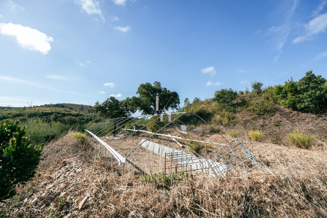 Terreno para Venda em Barão de São Miguel Foto 11