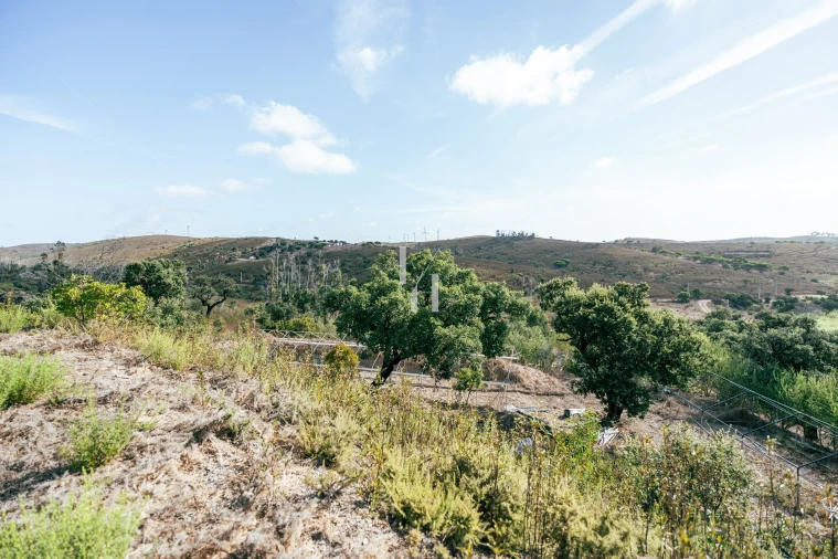 Terreno para Venda em Barão de São Miguel Foto 13