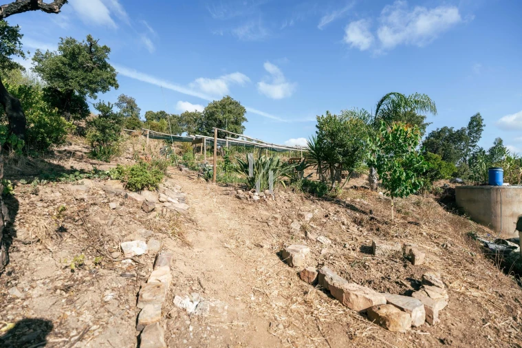 Terreno para Venda em Barão de São Miguel Foto 5