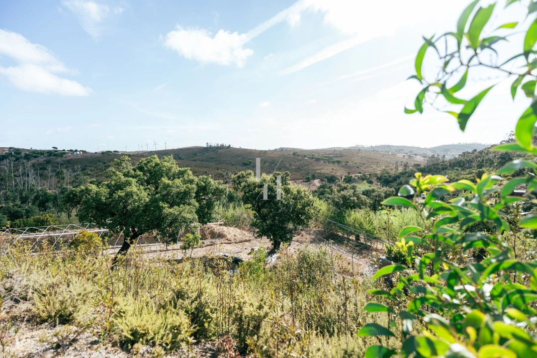Terreno para Venda em Barão de São Miguel Foto 12