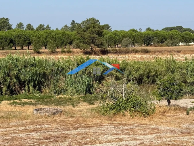 Quinta T4 para Venda em Coruche, Fajarda e Erra Foto 17