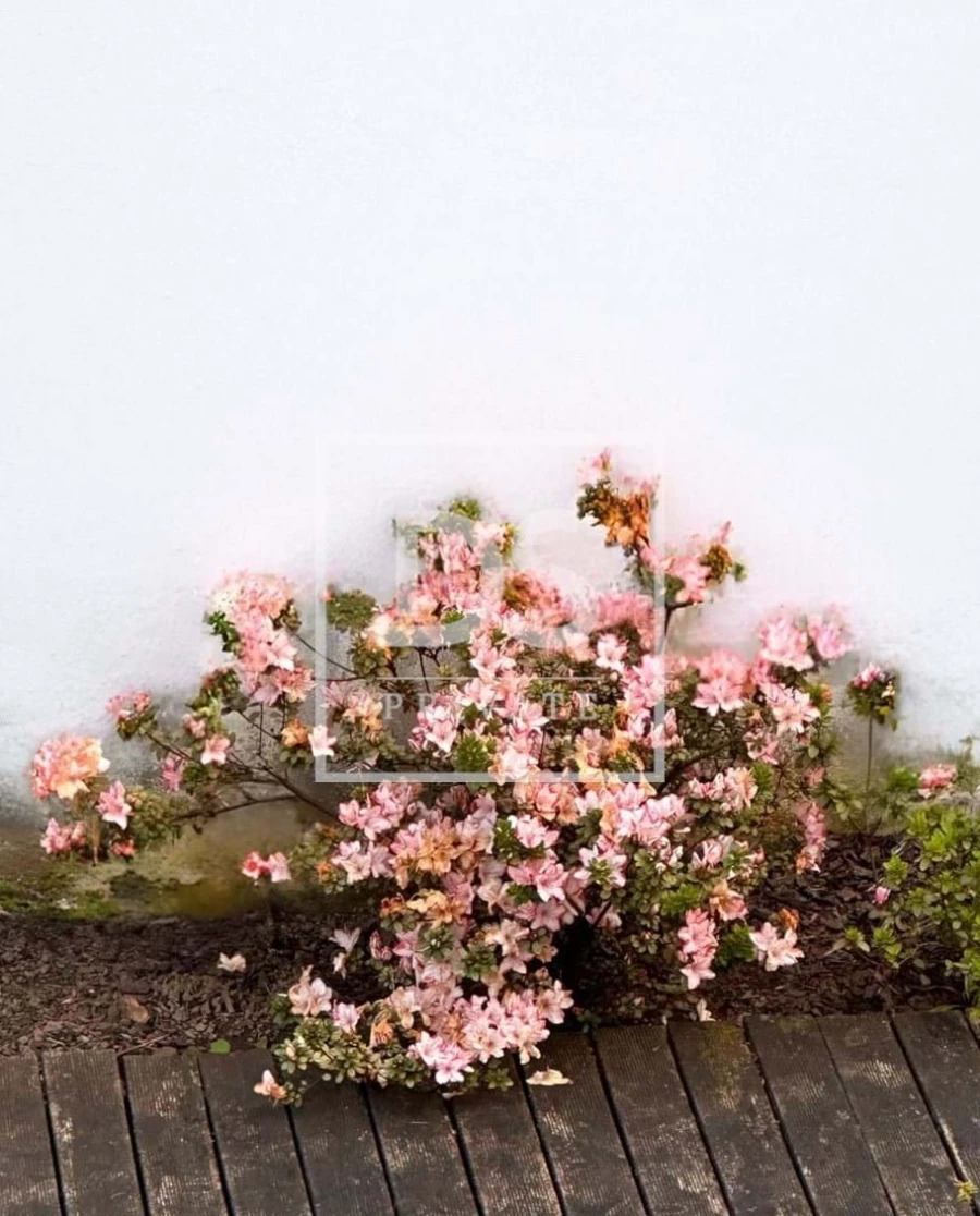 Moradia T4 para Venda em Merelim (São Paio), Panoias e Parada de Tibães Foto 35
