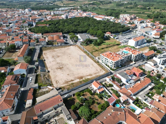 Terreno para Venda em Bombarral e Vale Covo Foto 14