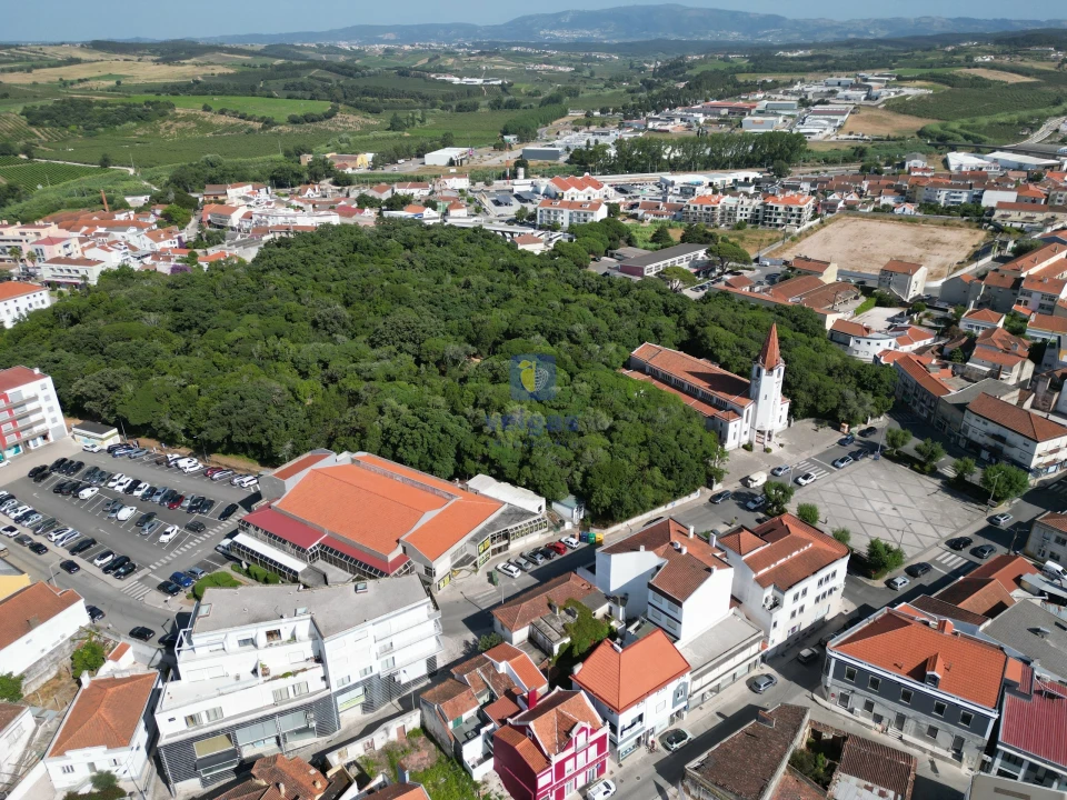 Terreno para Venda em Bombarral e Vale Covo Foto 13