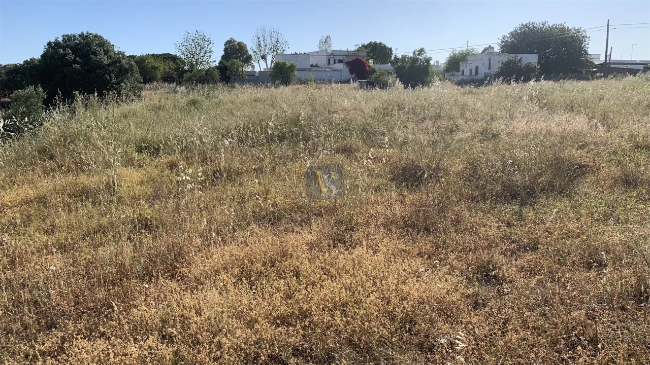 Terreno para Venda em Quelfes Foto 3