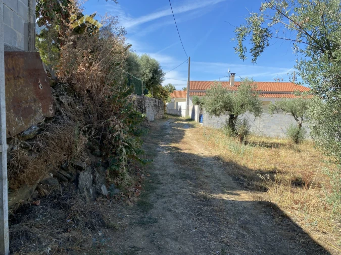 Terreno Agricola ou Rústico para Venda em Escalos de Baixo e Mata Foto 23