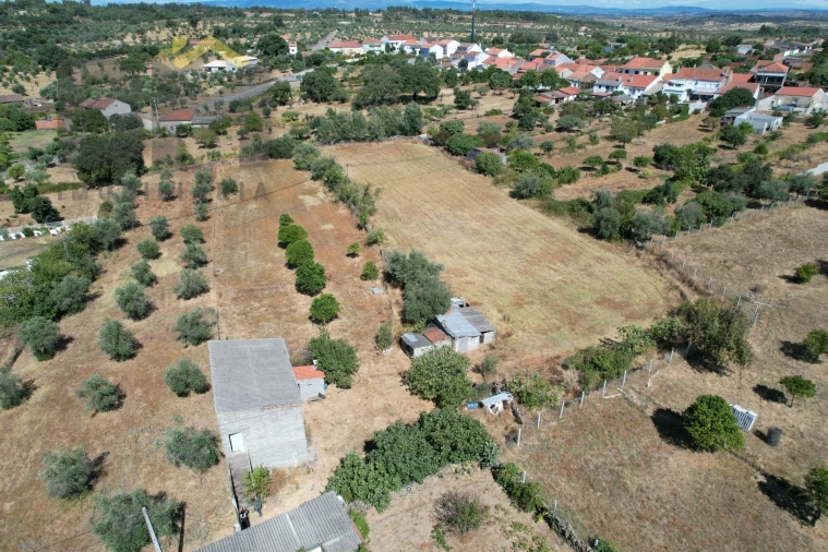 Terreno Agricola ou Rústico para Venda em Escalos de Baixo e Mata Foto 7