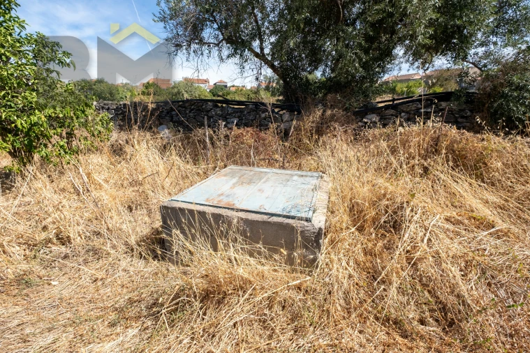 Terreno Agricola ou Rústico para Venda em Escalos de Baixo e Mata Foto 11