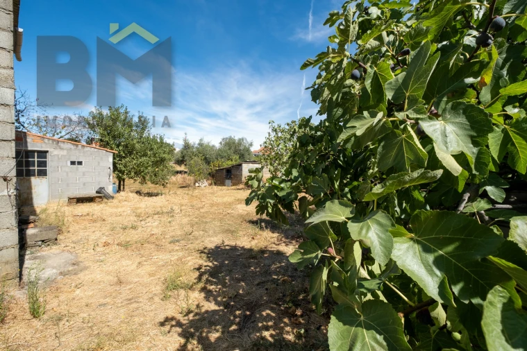 Terreno Agricola ou Rústico para Venda em Escalos de Baixo e Mata Foto 13