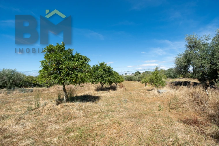 Terreno Agricola ou Rústico para Venda em Escalos de Baixo e Mata Foto 8