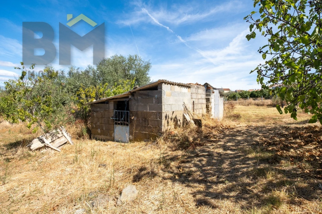 Terreno Agricola ou Rústico para Venda em Escalos de Baixo e Mata Foto 10
