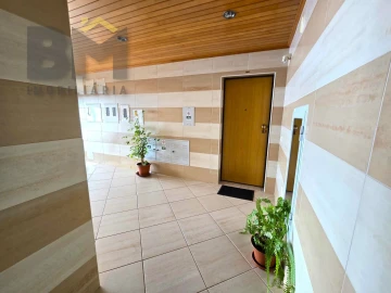 Apartamento T1 para Arrendamento em Castelo Branco