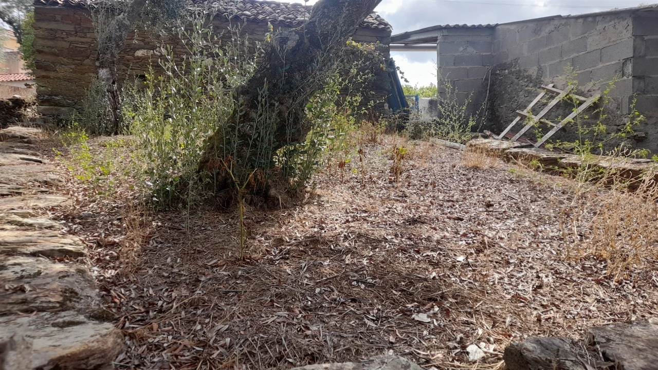 Moradia T0 para Venda em Santo Andre das Tojeiras Foto 19