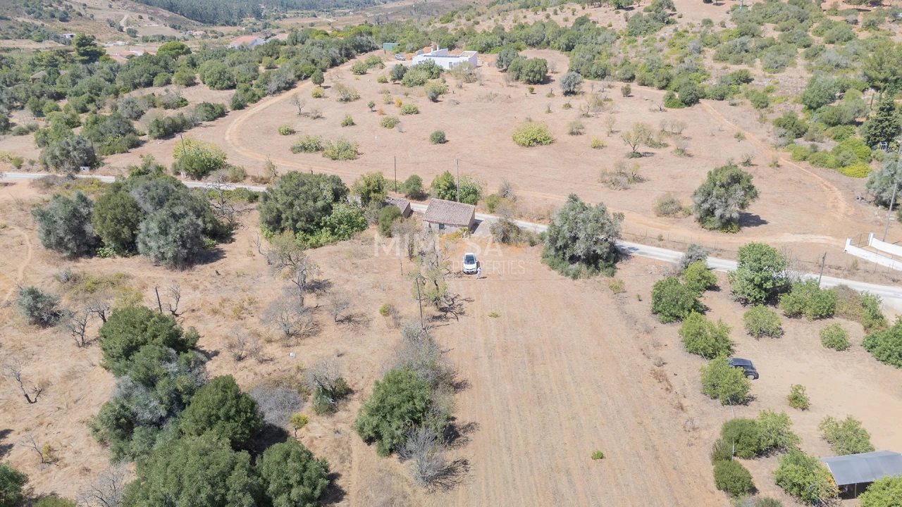 Terreno para Venda em Barão de São Miguel Foto 9