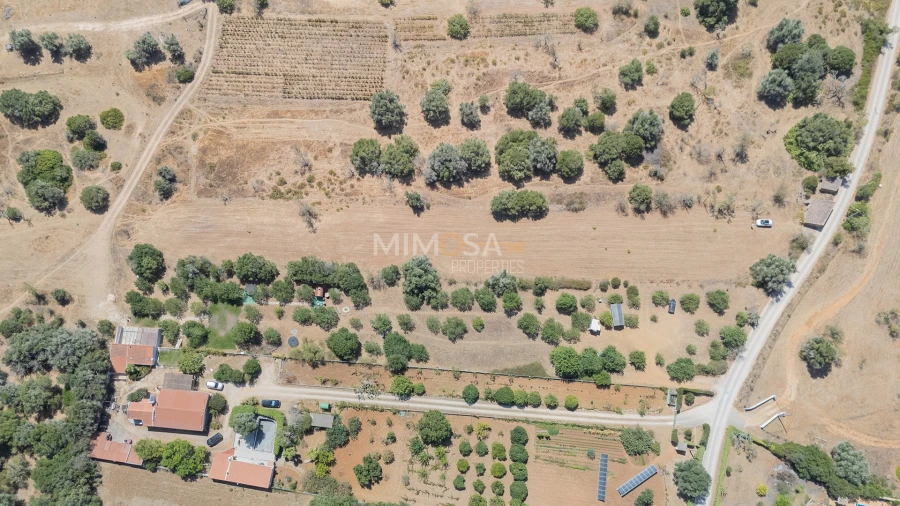 Terreno para Venda em Barão de São Miguel Foto 11