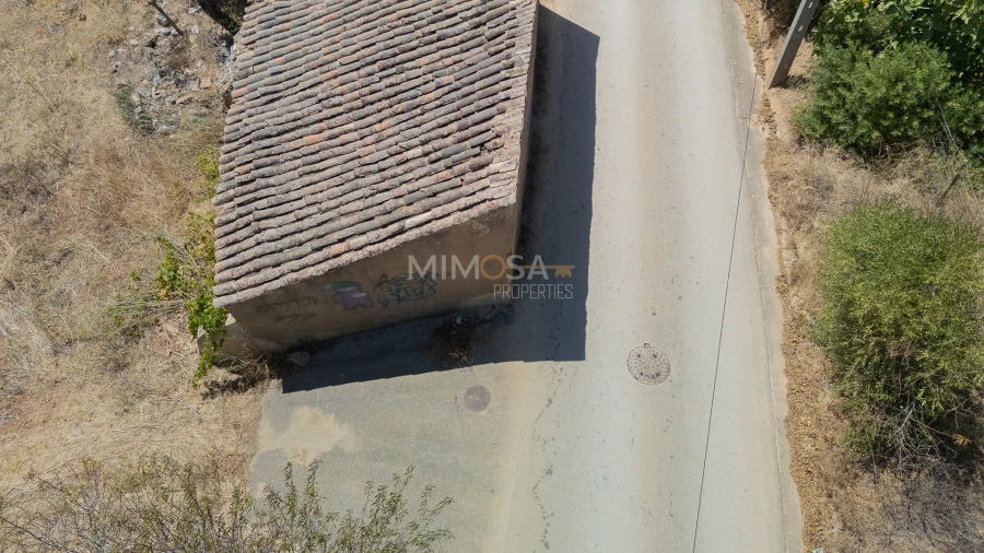 Terreno para Venda em Barão de São Miguel Foto 5