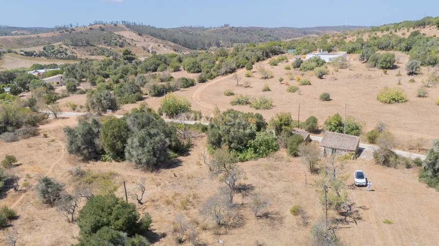 Terreno para Venda em Barão de São Miguel Foto 3