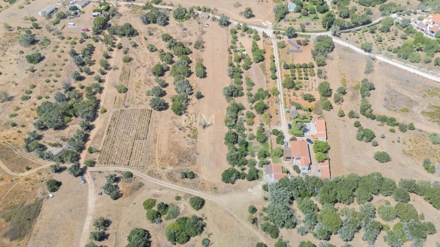 Terreno para Venda em Barão de São Miguel Foto 13