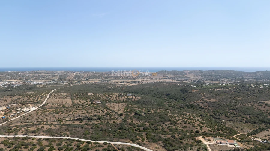 Terreno para Venda em Barão de São Miguel Foto 18