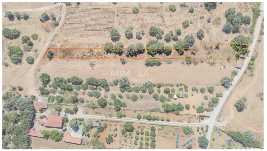 Terreno para Venda em Barão de São Miguel Foto 12