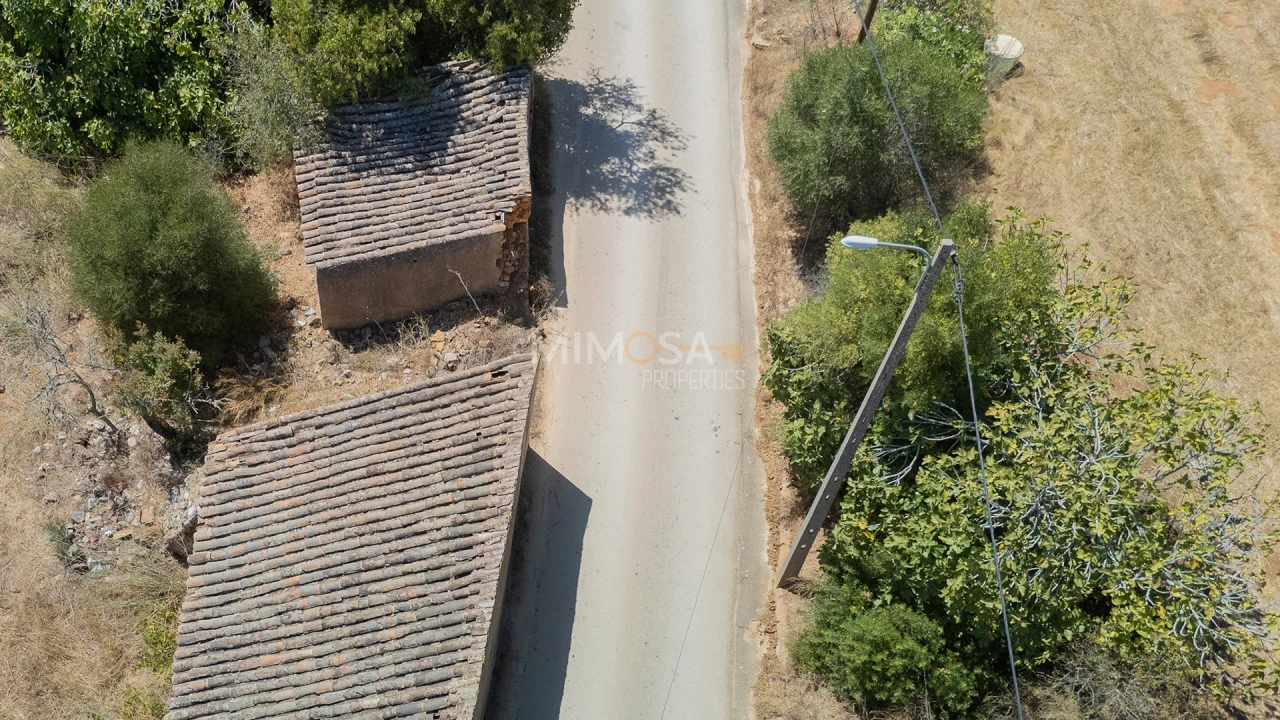 Terreno para Venda em Barão de São Miguel Foto 6