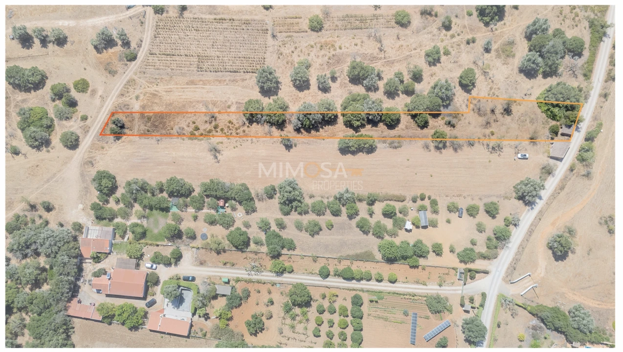 Terreno para Venda em Barão de São Miguel Foto 12