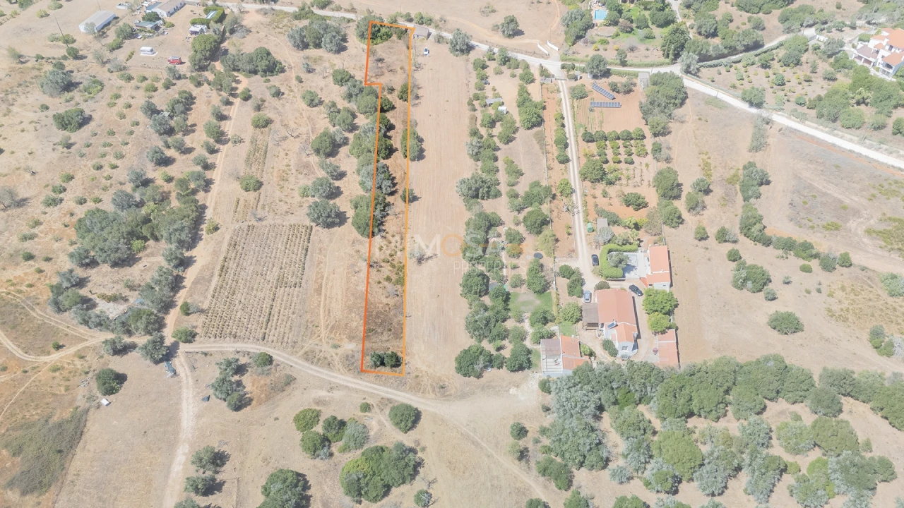 Terreno para Venda em Barão de São Miguel Foto 2