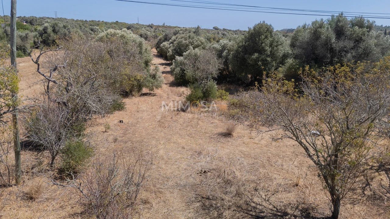 Terreno para Venda em Barão de São Miguel Foto 8