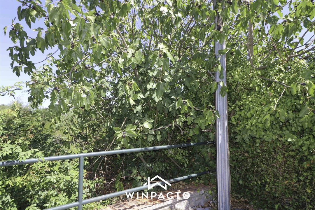 Terreno para Venda em Mangualde, Mesquitela e Cunha Alta Foto 14