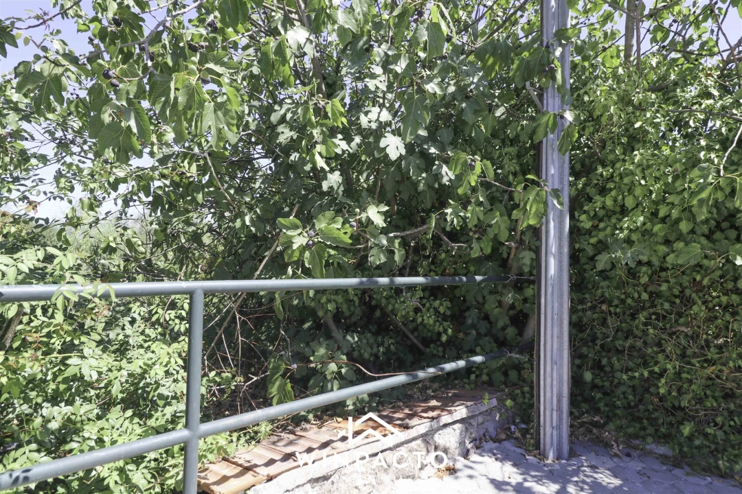 Terreno para Venda em Mangualde, Mesquitela e Cunha Alta Foto 15